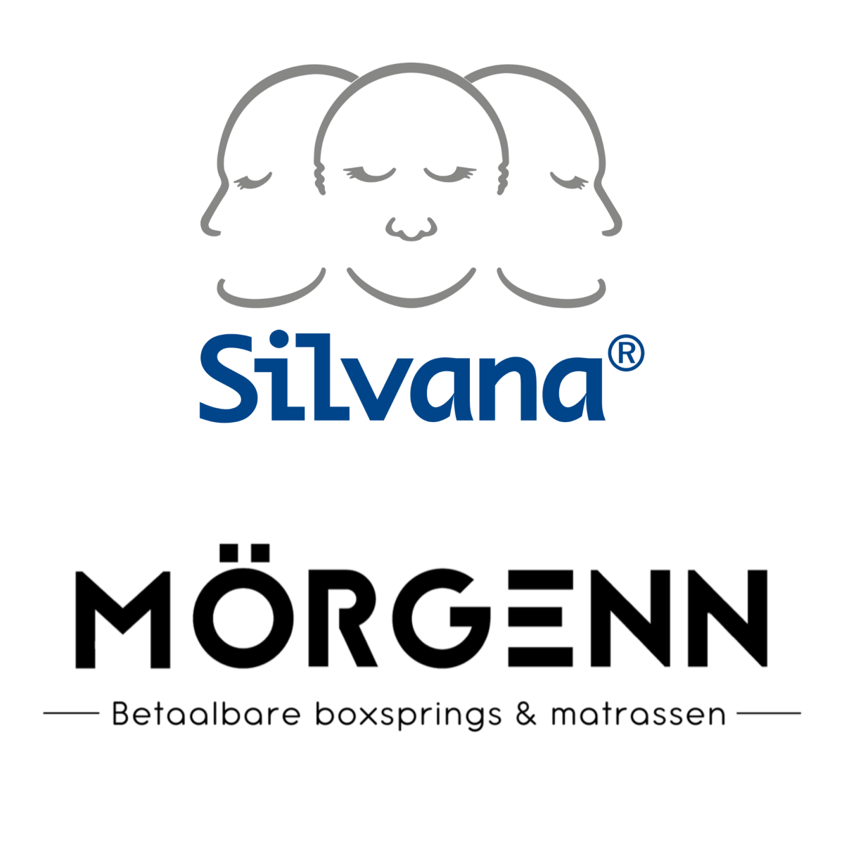 Silvana Support Hoofdkussens - Mörgenn - Betaalbare Boxsprings & Matrassen