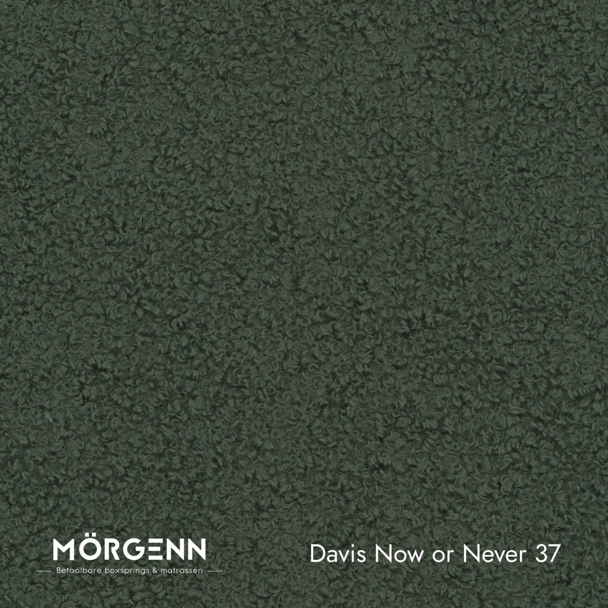 Mörgenn Davis Now or Never Teddy Stof Now or Never 37 - Mörgenn